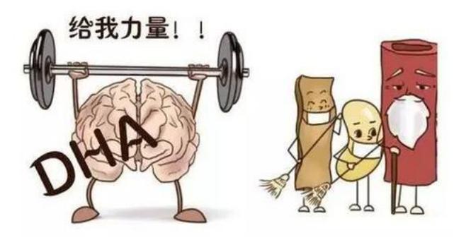 dha脑黄金乳钙13岁孩子吃好吗,新生儿吃什么牌子dha营养脑细胞