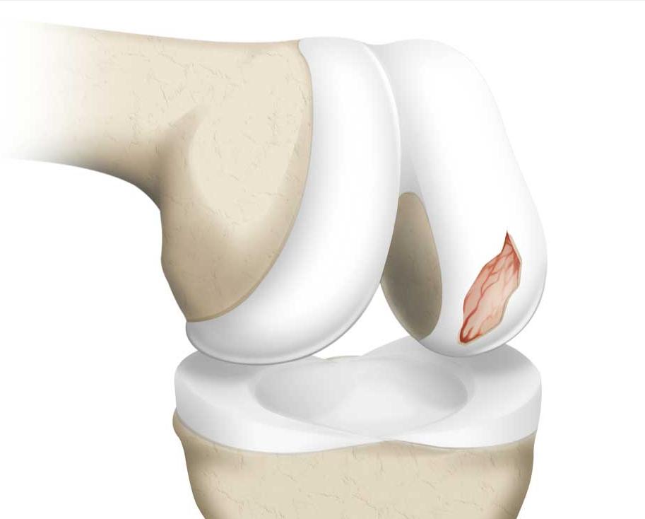 热爱跳舞的阿姨们,热爱广场舞的阿姨