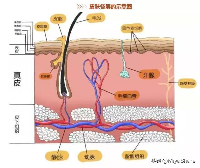 只需简单三步轻松解决长痘烦恼,青春期脸上长痘自卑怎么办