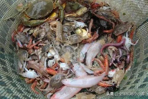 宁波象山石浦海鲜两日游,宁波象山海边晚餐