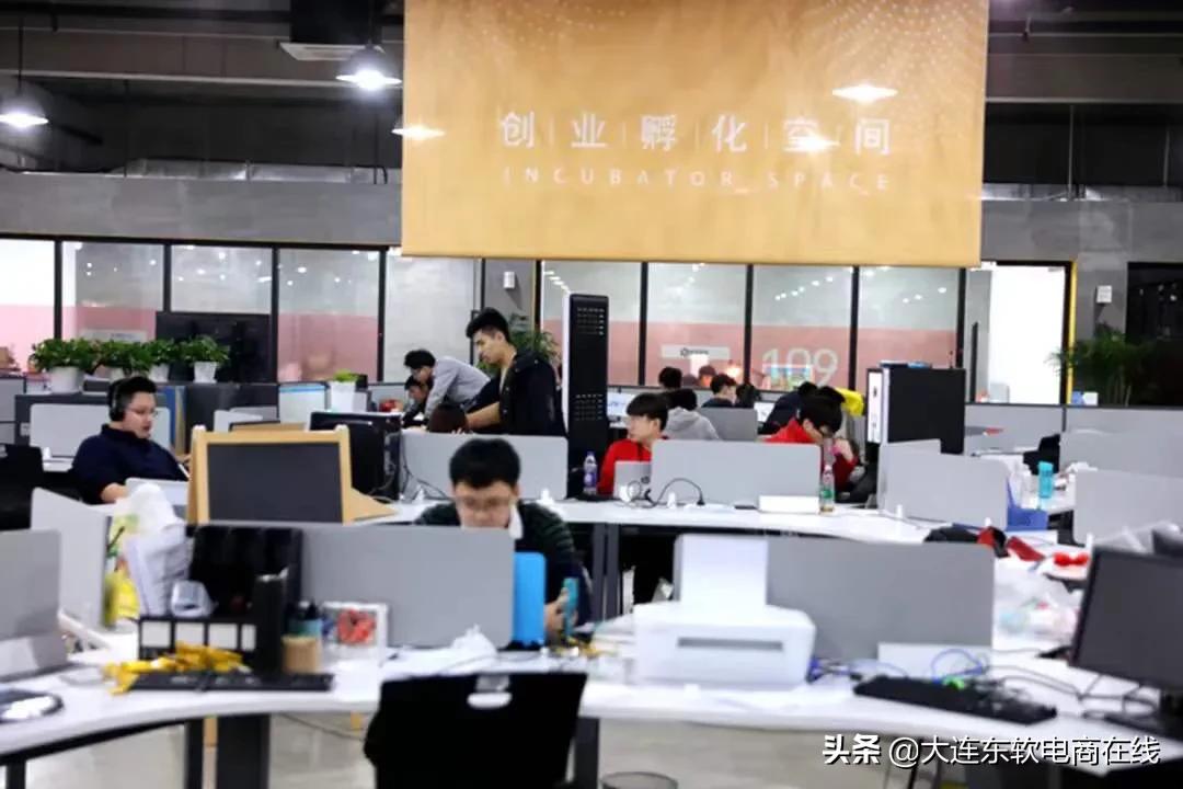 大连一共有多少所大学,全国前五大连