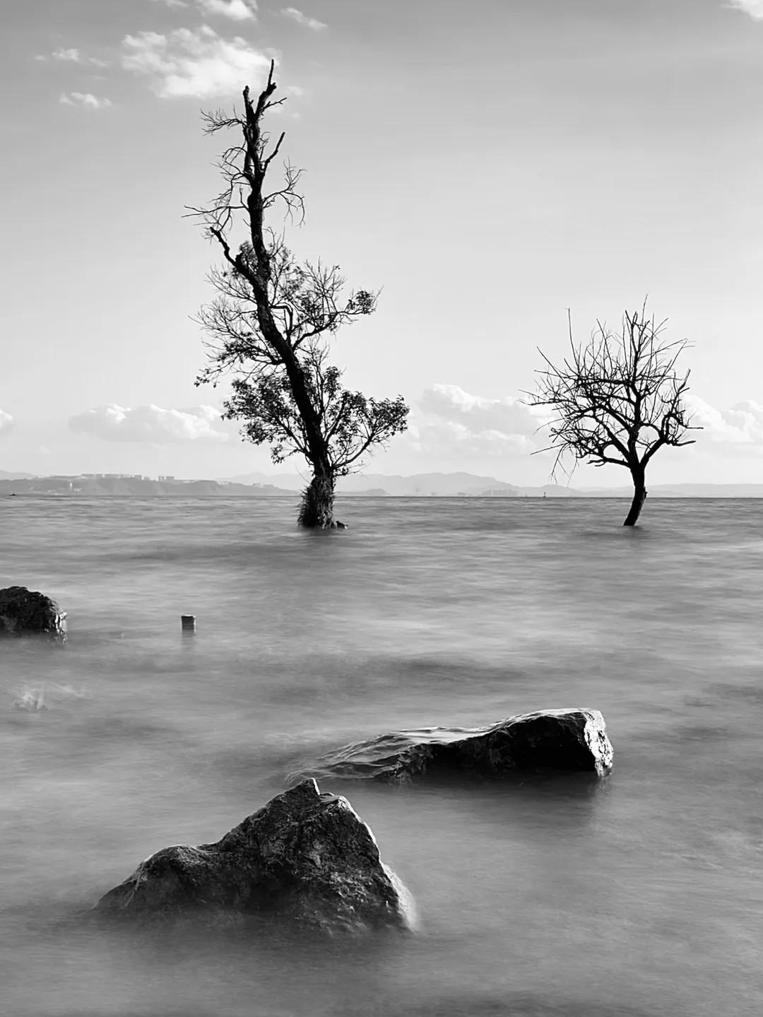 iphone相机操作指南广角镜头篇,iphone相机操作指南3.0