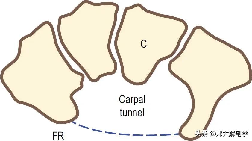 治疗手腕痛手法,手腕部突然疼痛是怎么回事