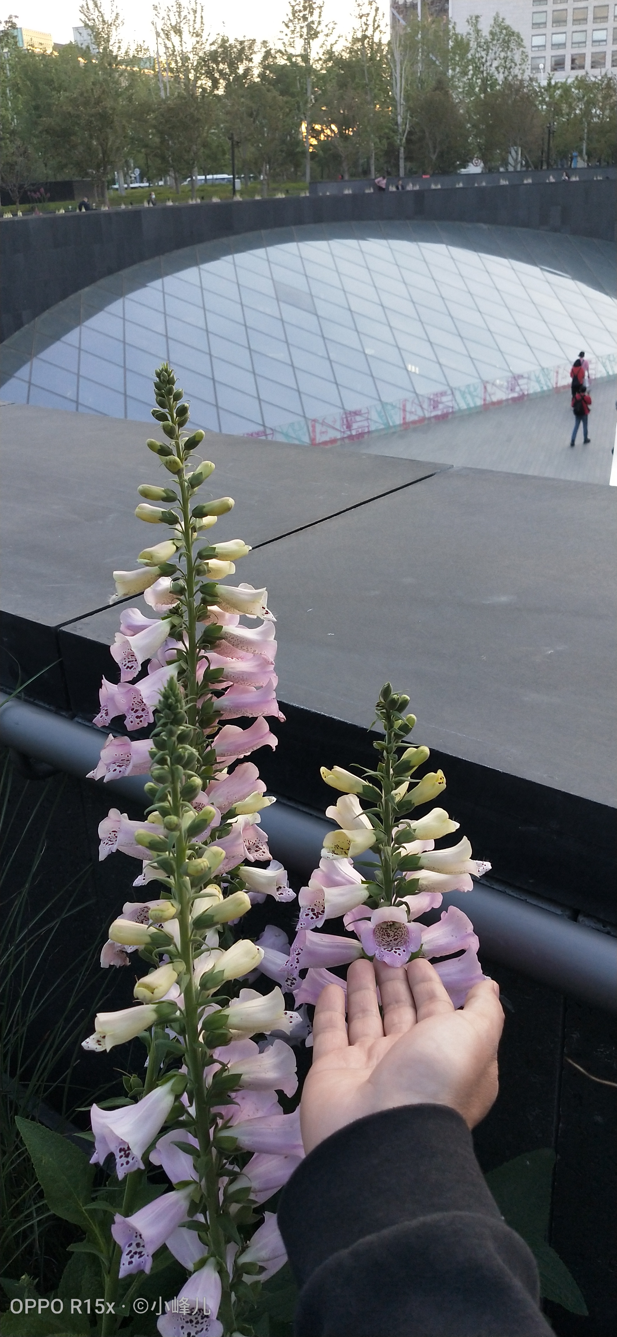 西单更新街有什么,西单更新场和大悦城