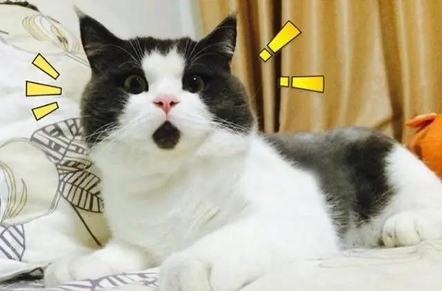 怎么选窗帘材质显高大上不易过时,窗帘选什么材质轻便又实惠