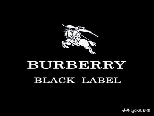 世界上最贵的15个服装品牌,世界服装十大奢侈品