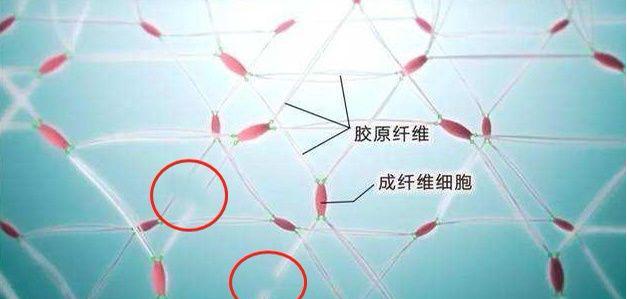 22岁护肤品推荐补水抗老,22岁油痘肌初抗老护肤品推荐