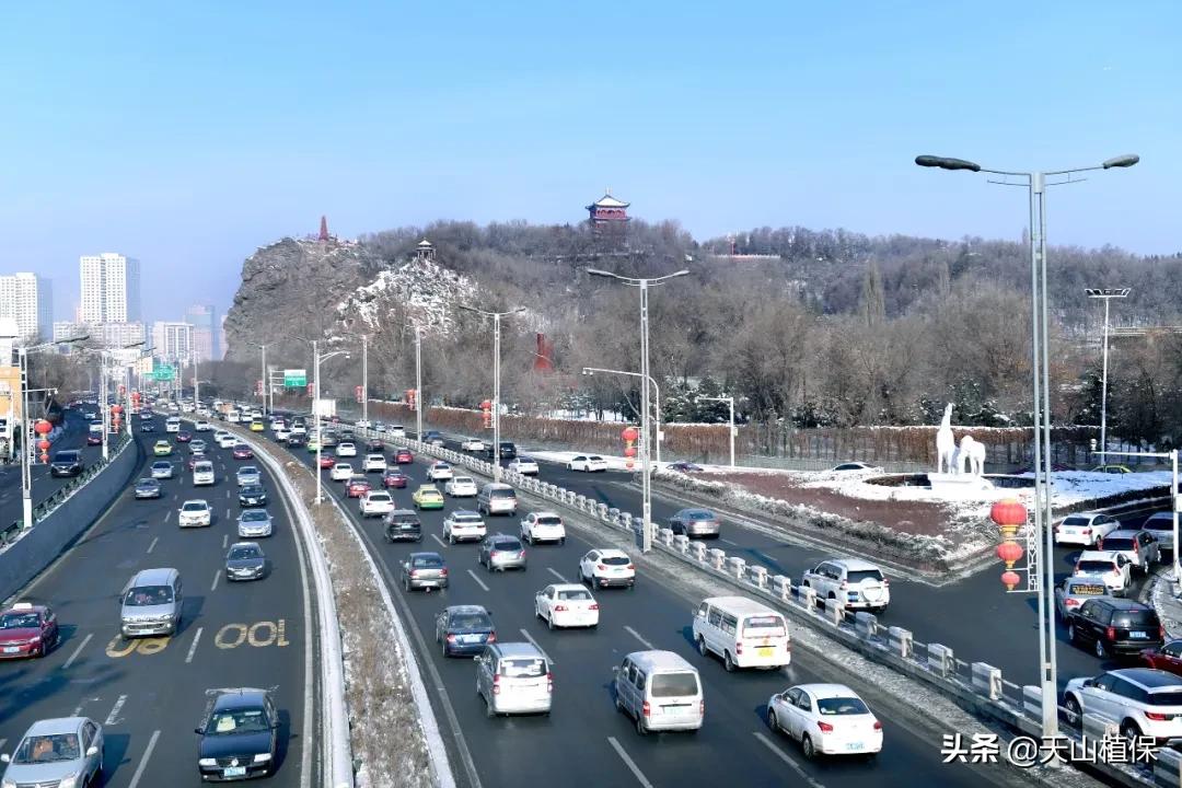 上榜啦！*疆新**鸟市和石市即将被国家命名！未来发展不可估量