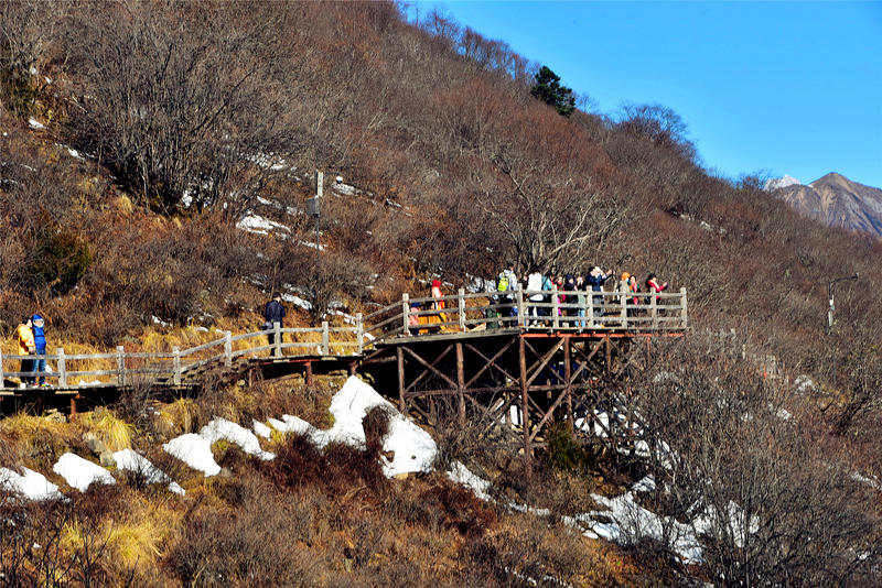 置身于童话中的九寨沟,畅游人间仙境黄龙九寨沟七日游
