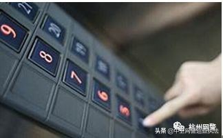 夏天要注意防狼,夏天防火防盗更要防狼