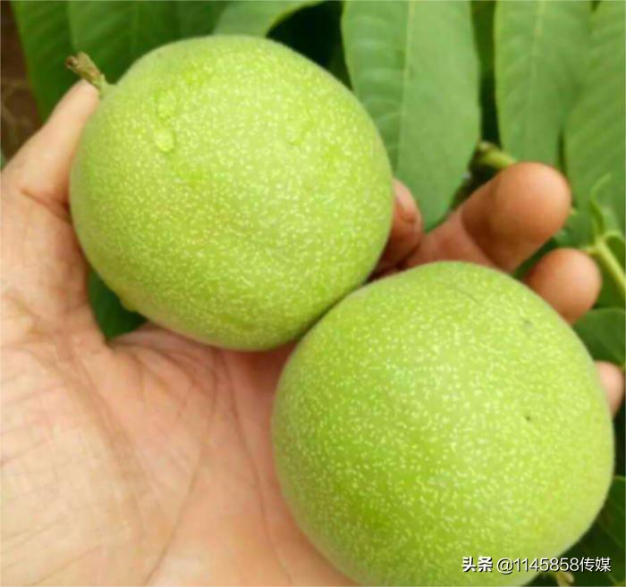 徒步登山好玩的地方,徒步的好地方