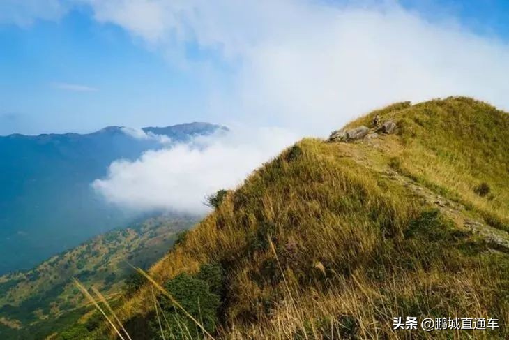 深圳周边适合10-15人玩乐的地方,深圳周边两天一夜的旅游地方推荐
