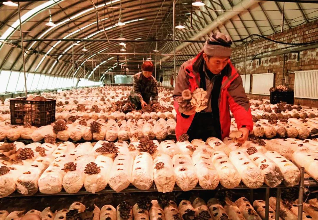 七师干部职工,农七师团场职工减负资金