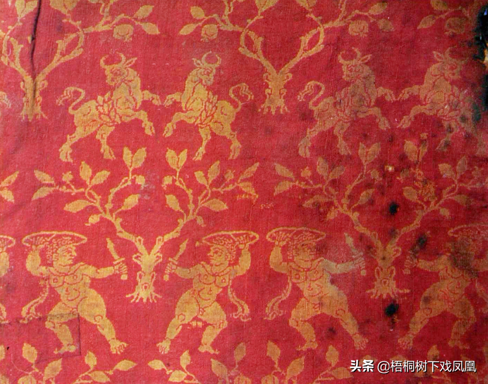 古墓现真容或为贵族墓,考古身高超高的尸骨