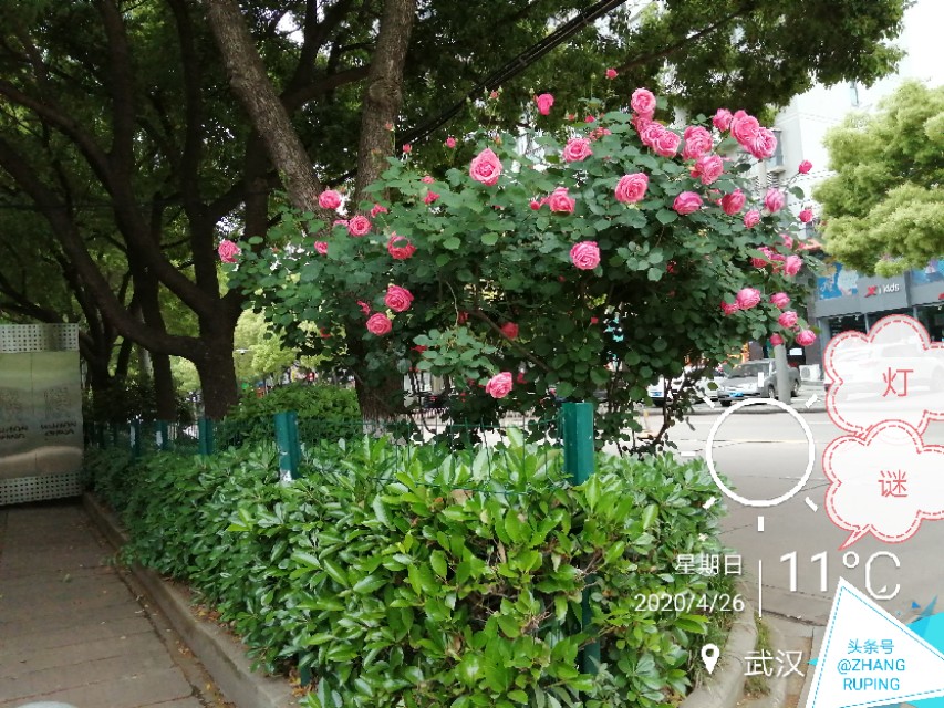 猜句诙谐语，足球迷都会开心地笑，9个字，请来的就是你