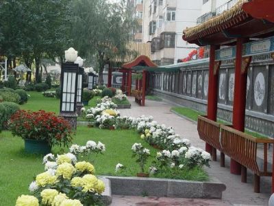 黑龙江寻宝记免费看,65岁以上黑龙江景区免费