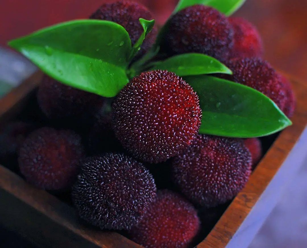 国家地理标志产品仙居杨梅,杨梅地理