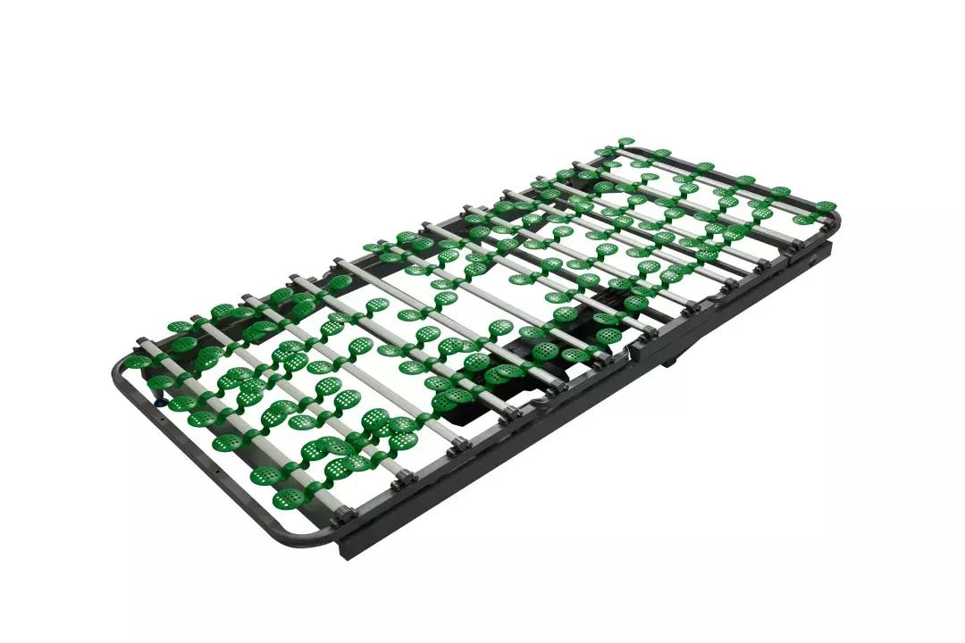 床垫除霉菌的最好方法,怎么防止床垫潮湿发霉