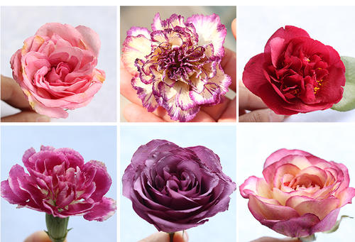 鲜花蔫了怎么做干花,怎样才能让鲜花做成干花永不褪色