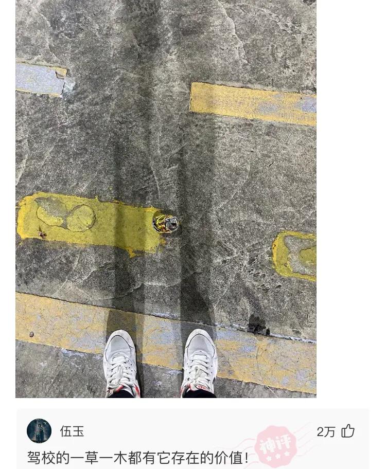 幽默搞笑神评,沙雕搞笑神评