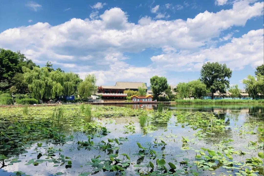 大美西城,文明寿光西城