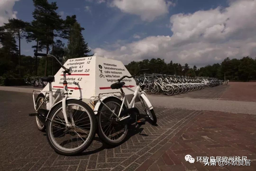 欧洲旅游荷兰团,在荷兰买东西退税什么时候到