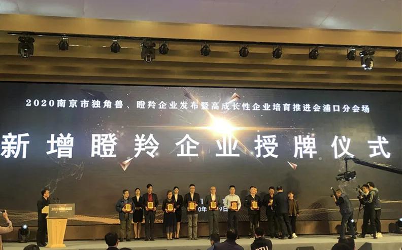 2023南京独角兽瞪羚榜单,独角兽瞪羚