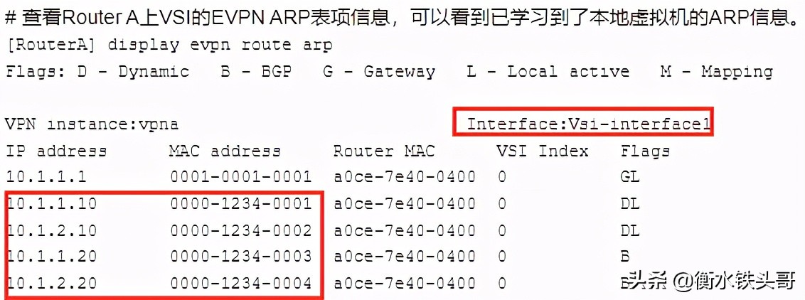 EVPN小实验：分布式EVPN网关配置