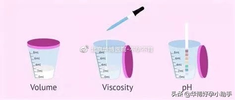 中医说免疫性不孕,什么是免疫性不孕能治吗