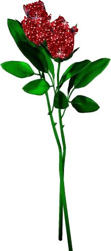 5201314，送你999玫瑰花，祝你爱情甜甜蜜蜜