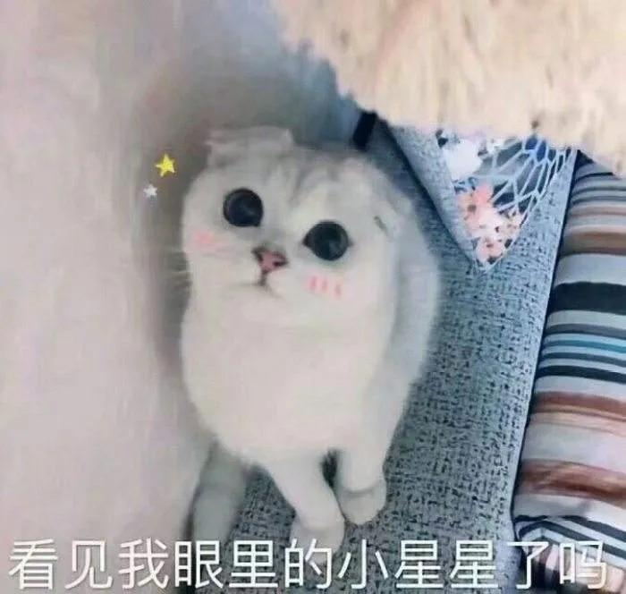 黄埔体育中心体育馆门票,黄埔体育馆跑道开放时间