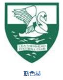 英格兰队徽壁纸,英格兰队徽图片蓝锁