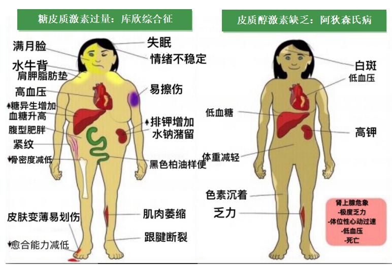 吃激素变胖有什么危害吗,吃激素变胖原因
