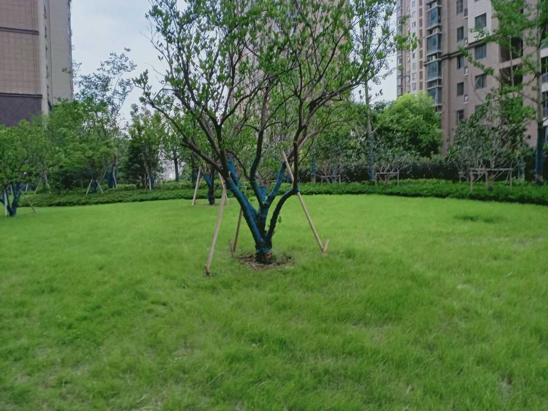 忆当初青春年少,再忆年少时已不再年少