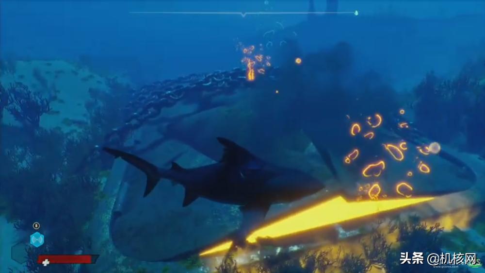 食人鲨从哪里买的,食人鲨值得买吗