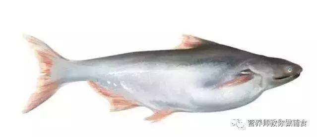 大部分人给宝宝吃的却是假货,这种鱼肉嫩无刺,益智补脑