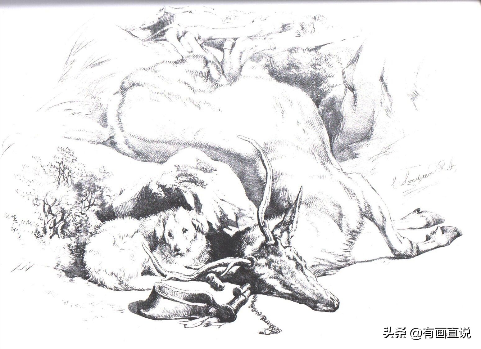 素描临摹高清大图初学,素描教程初学者临摹图