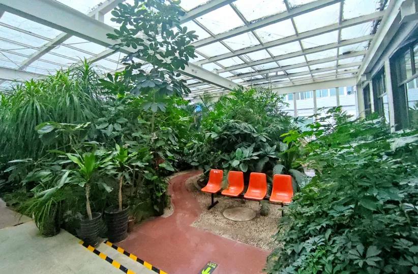 邯郸河北工程大学附属医院,河北工程大学邯郸附属医院