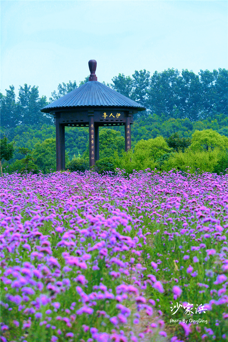 苏州红色革命旅游景点图片,苏州红色革命景点介绍视频