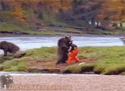 新歇后语搞笑,歇后语有模有样的前一句