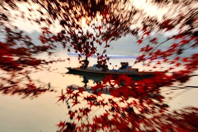 2018年总结表彰暨「感动我的人和事」征文颁奖团拜会