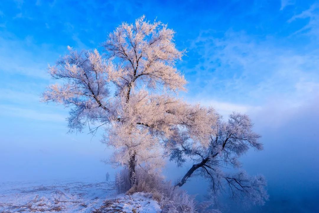 吉林在哪里看雾凇比较好,雾凇哪儿好看