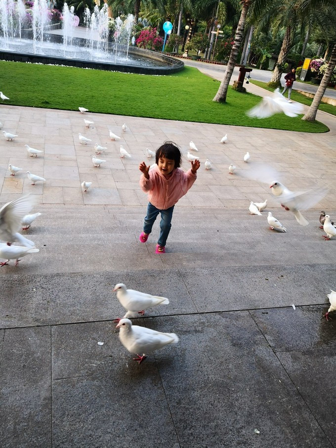 三亚新年自由行,一个人的旅行三亚之旅