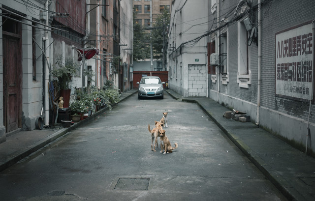 周晓光年轻时候,周晓光浙江女企业家