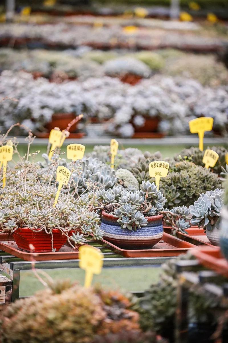 在大山深处幽静绝美的村落,深藏大山中的村落