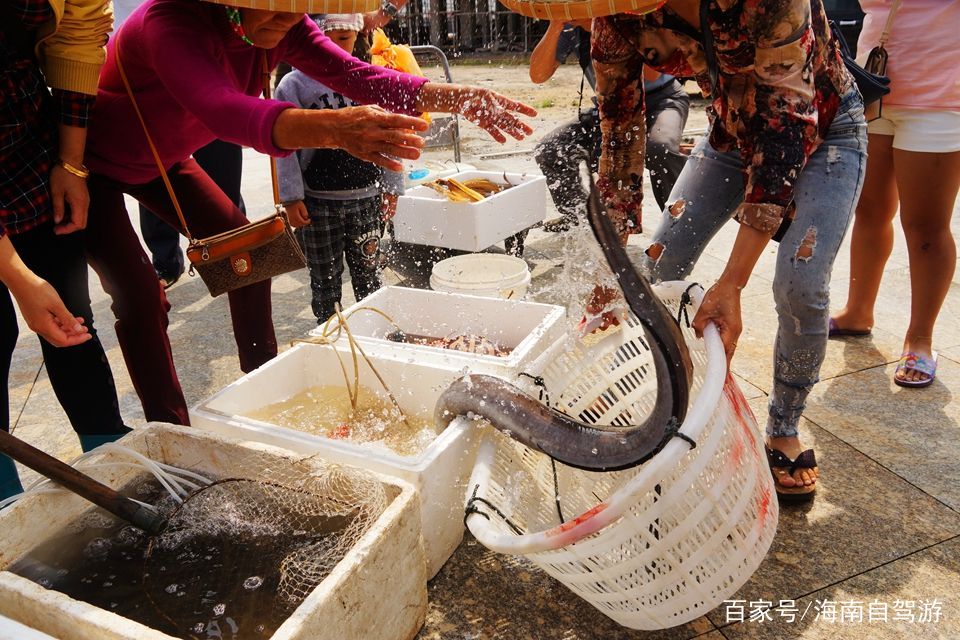海南自驾游租车推荐,海南租车自驾线路