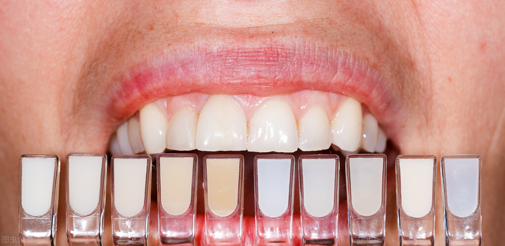 白牙正确打开方式,大白牙的正确养成方法