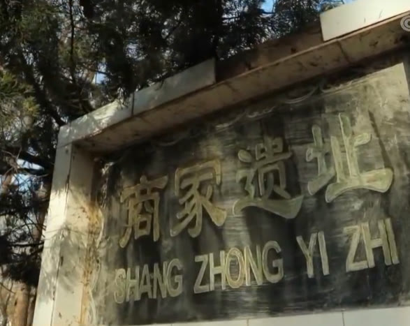 走遍中国河南篇视频,走遍中国河南全集