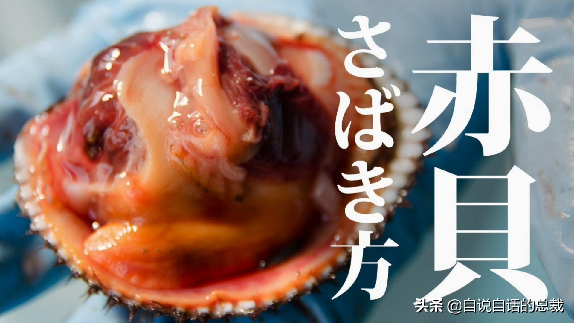 蛤、蚶、蛏、蚝、蚬有什么区别？这是一群美味海怪与人类的故事