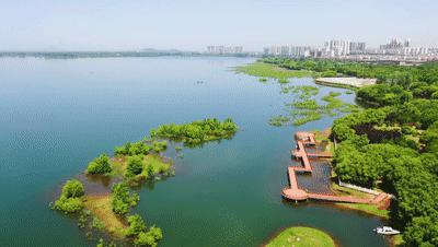 只有站在城市价值纵贯线上，你才明白什么是真正的改善